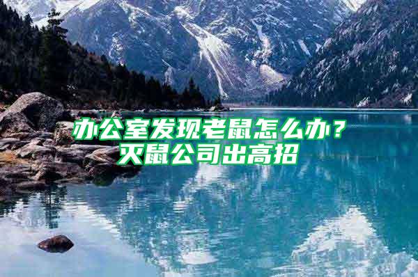 辦公室發(fā)現(xiàn)老鼠怎么辦？滅鼠公司出高招