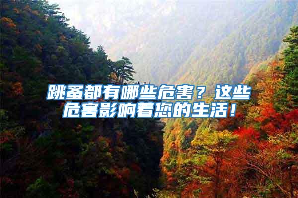 跳蚤都有哪些危害？這些危害影響著您的生活！