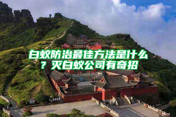 白蟻防治最佳方法是什么？滅白蟻公司有奇招