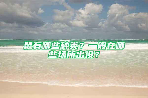 鼠有哪些種類？一般在哪些場(chǎng)所出沒(méi)？
