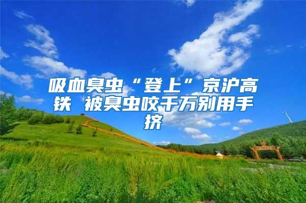 吸血臭蟲“登上”京滬高鐵 被臭蟲咬千萬別用手?jǐn)D