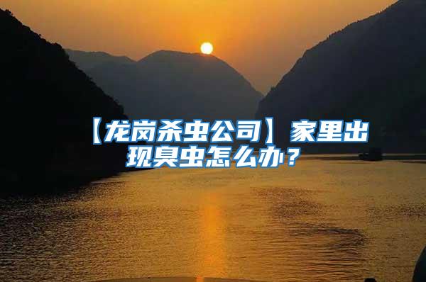 【龍崗殺蟲公司】家里出現(xiàn)臭蟲怎么辦？