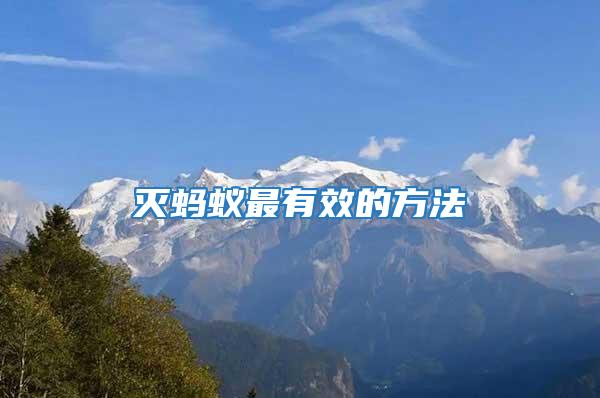 滅螞蟻?zhàn)钣行У姆椒?/></p>
             <p style=