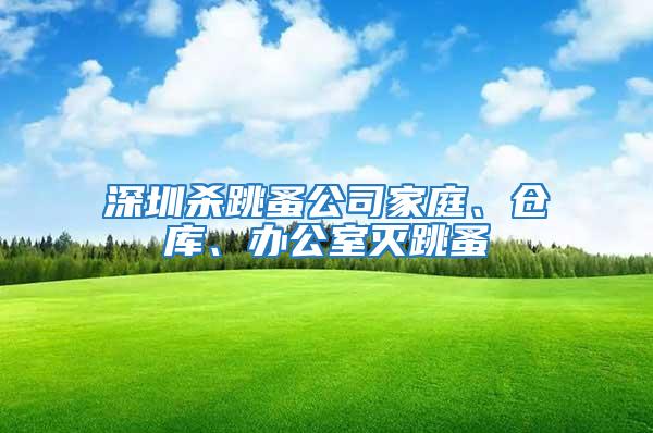 深圳殺跳蚤公司家庭、倉庫、辦公室滅跳蚤