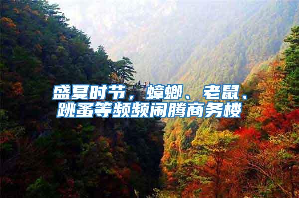 盛夏時(shí)節(jié)，蟑螂、老鼠、跳蚤等頻頻鬧騰商務(wù)樓