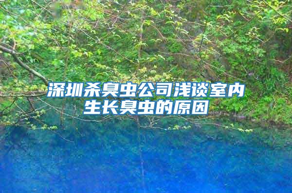 深圳殺臭蟲公司淺談室內(nèi)生長臭蟲的原因