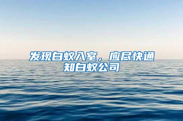 發(fā)現(xiàn)白蟻入室，應(yīng)盡快通知白蟻公司
