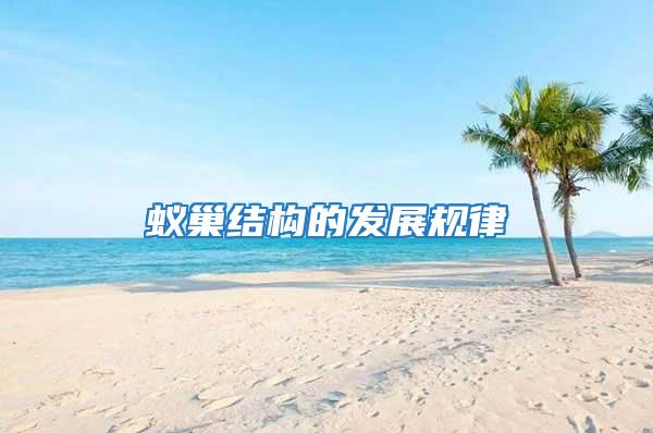 蟻巢結(jié)構(gòu)的發(fā)展規(guī)律