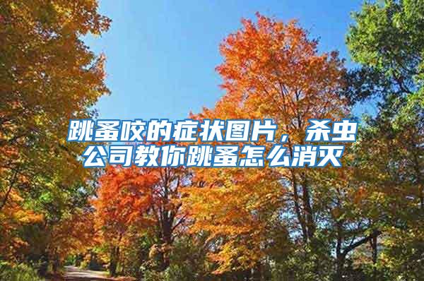 跳蚤咬的癥狀圖片，殺蟲公司教你跳蚤怎么消滅