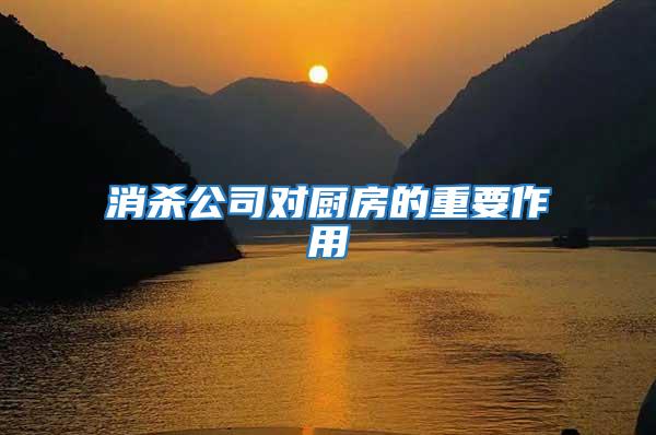 消殺公司對(duì)廚房的重要作用