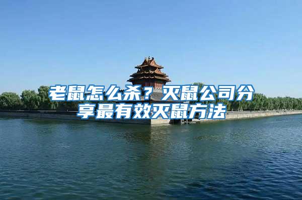老鼠怎么殺？滅鼠公司分享最有效滅鼠方法