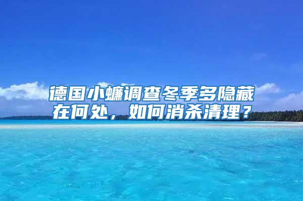 德國小蠊調查冬季多隱藏在何處，如何消殺清理？