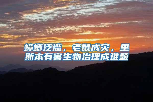 蟑螂泛濫，老鼠成災(zāi)，里斯本有害生物治理成難題