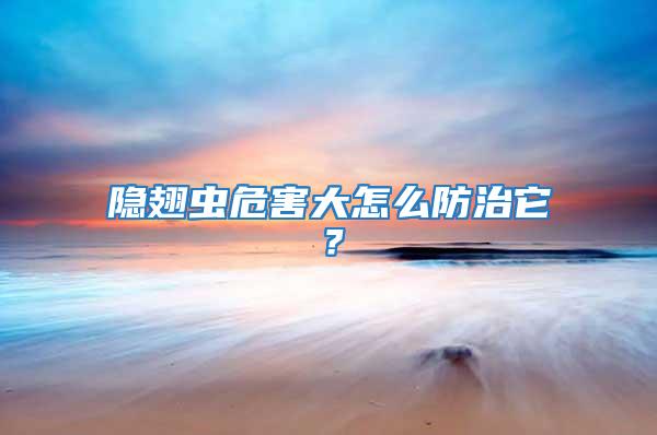 隱翅蟲危害大怎么防治它？