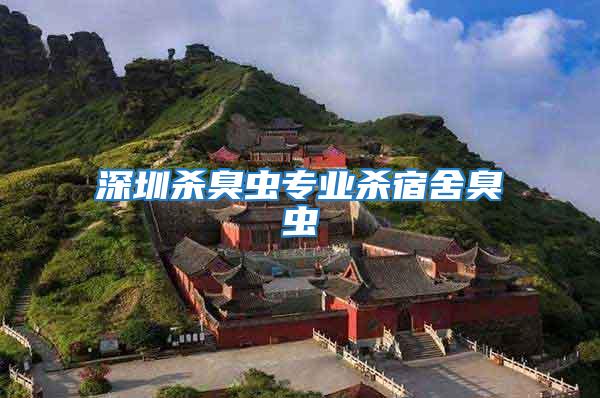 深圳殺臭蟲專業殺宿舍臭蟲