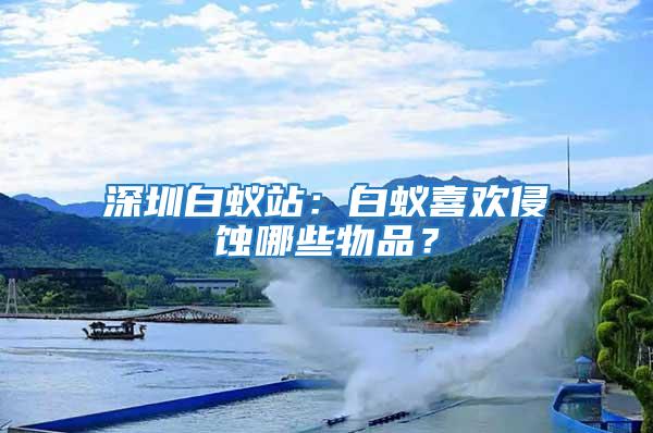 深圳白蟻站：白蟻喜歡侵蝕哪些物品？