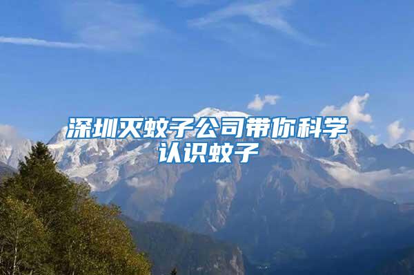 深圳滅蚊子公司帶你科學(xué)認(rèn)識(shí)蚊子