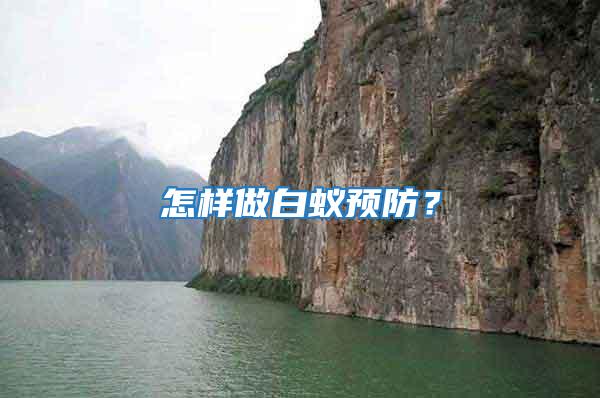 怎樣做白蟻預防？
