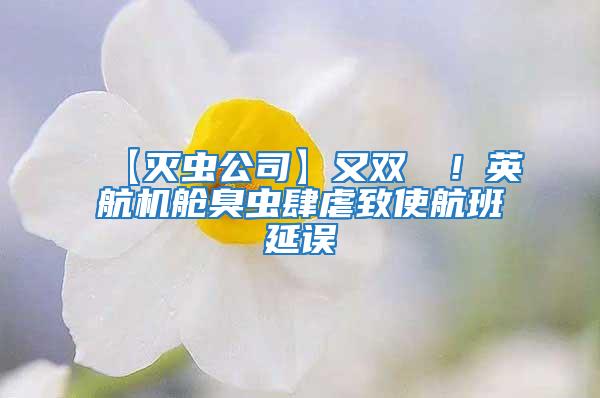 【滅蟲公司】又雙叒叕！英航機(jī)艙臭蟲肆虐致使航班延誤