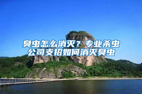 臭蟲怎么消滅？專業(yè)殺蟲公司支招如何消滅臭蟲