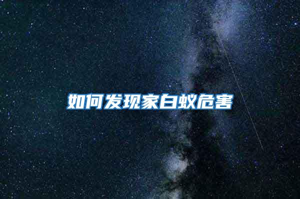 如何發現家白蟻危害