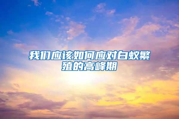 我們應(yīng)該如何應(yīng)對(duì)白蟻繁殖的高峰期