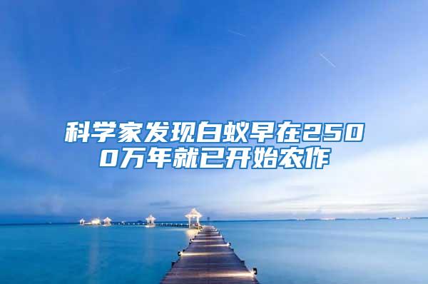 科學(xué)家發(fā)現(xiàn)白蟻早在2500萬(wàn)年就已開始農(nóng)作