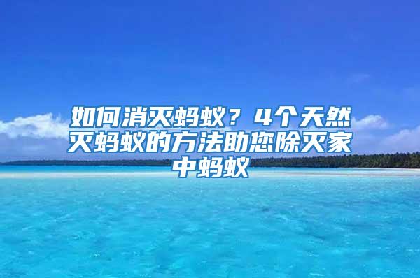 如何消滅螞蟻？4個天然滅螞蟻的方法助您除滅家中螞蟻