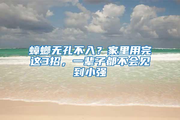 蟑螂無孔不入？家里用完這3招，一輩子都不會見到小強(qiáng)