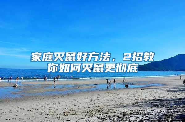 家庭滅鼠好方法，2招教你如何滅鼠更徹底
