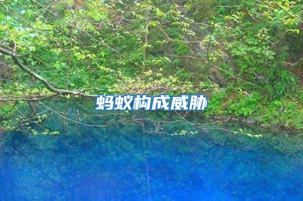 螞蟻構成威脅