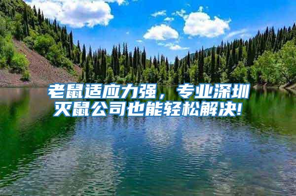 老鼠適應力強，專業深圳滅鼠公司也能輕松解決!