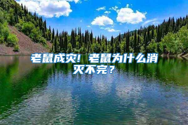 老鼠成災! 老鼠為什么消滅不完？