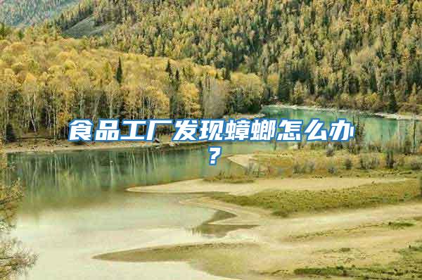 食品工廠發(fā)現(xiàn)蟑螂怎么辦？