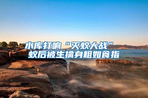 水庫打響“滅蟻大戰” 蟻后被生擒身粗如食指