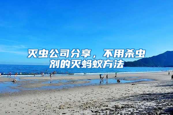 滅蟲公司分享，不用殺蟲劑的滅螞蟻方法