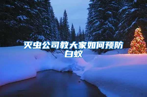 滅蟲(chóng)公司教大家如何預(yù)防白蟻