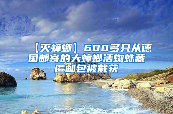 【滅蟑螂】600多只從德國(guó)郵寄的大蟑螂活蜘蛛藏匿郵包被截獲