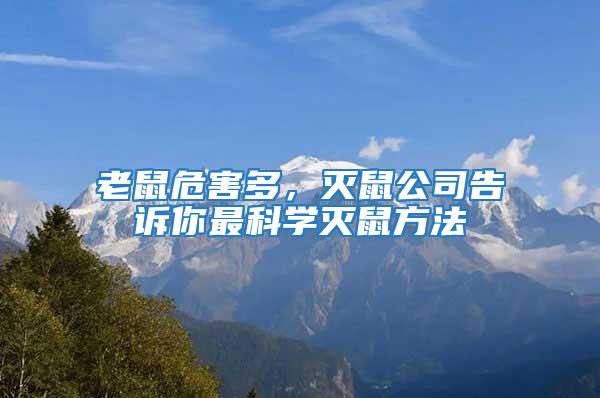 老鼠危害多，滅鼠公司告訴你最科學滅鼠方法