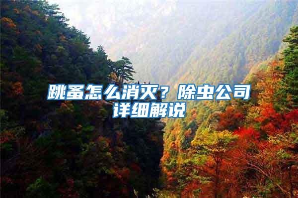 跳蚤怎么消滅？除蟲公司詳細(xì)解說
