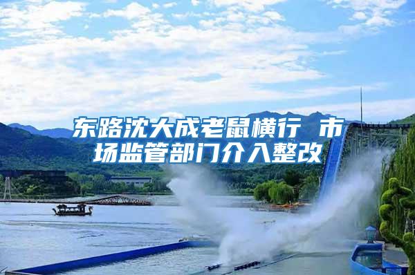 東路沈大成老鼠橫行 市場(chǎng)監(jiān)管部門介入整改