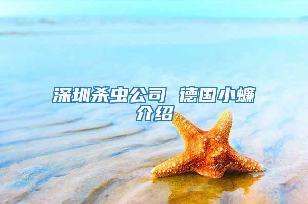 深圳殺蟲(chóng)公司 德國(guó)小蠊介紹