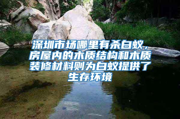 深圳市場哪里有殺白蟻，房屋內的木質結構和木質裝修材料則為白蟻提供了生存環境