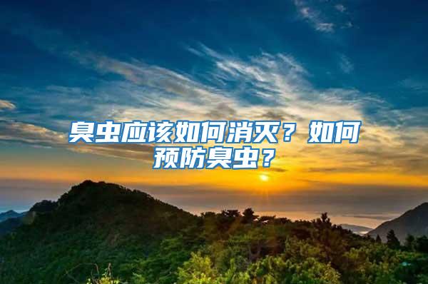 臭蟲應該如何消滅？如何預防臭蟲？