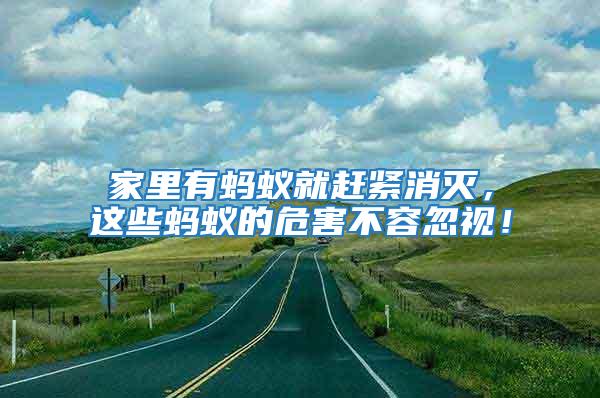 家里有螞蟻就趕緊消滅，這些螞蟻的危害不容忽視！