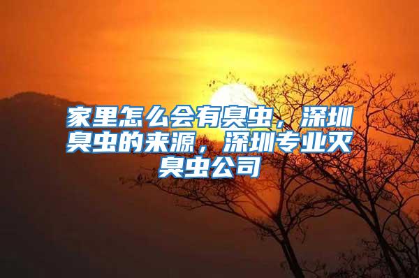 家里怎么會(huì)有臭蟲(chóng)，深圳臭蟲(chóng)的來(lái)源，深圳專業(yè)滅臭蟲(chóng)公司