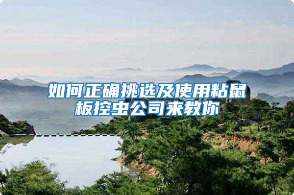 如何正確挑選及使用粘鼠板控蟲(chóng)公司來(lái)教你