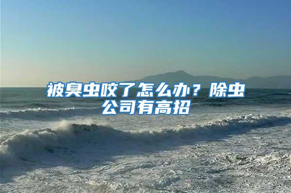 被臭蟲咬了怎么辦？除蟲公司有高招