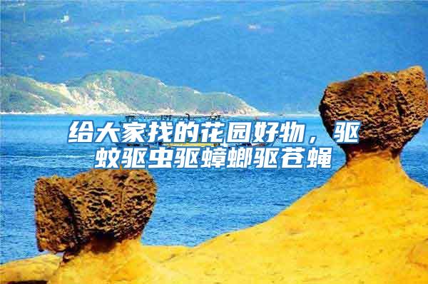 給大家找的花園好物，驅蚊驅蟲驅蟑螂驅蒼蠅