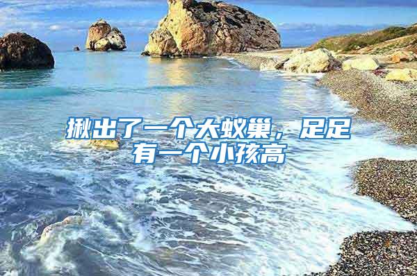 揪出了一個(gè)大蟻巢，足足有一個(gè)小孩高